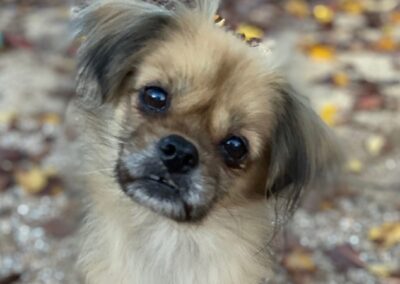 Charlie